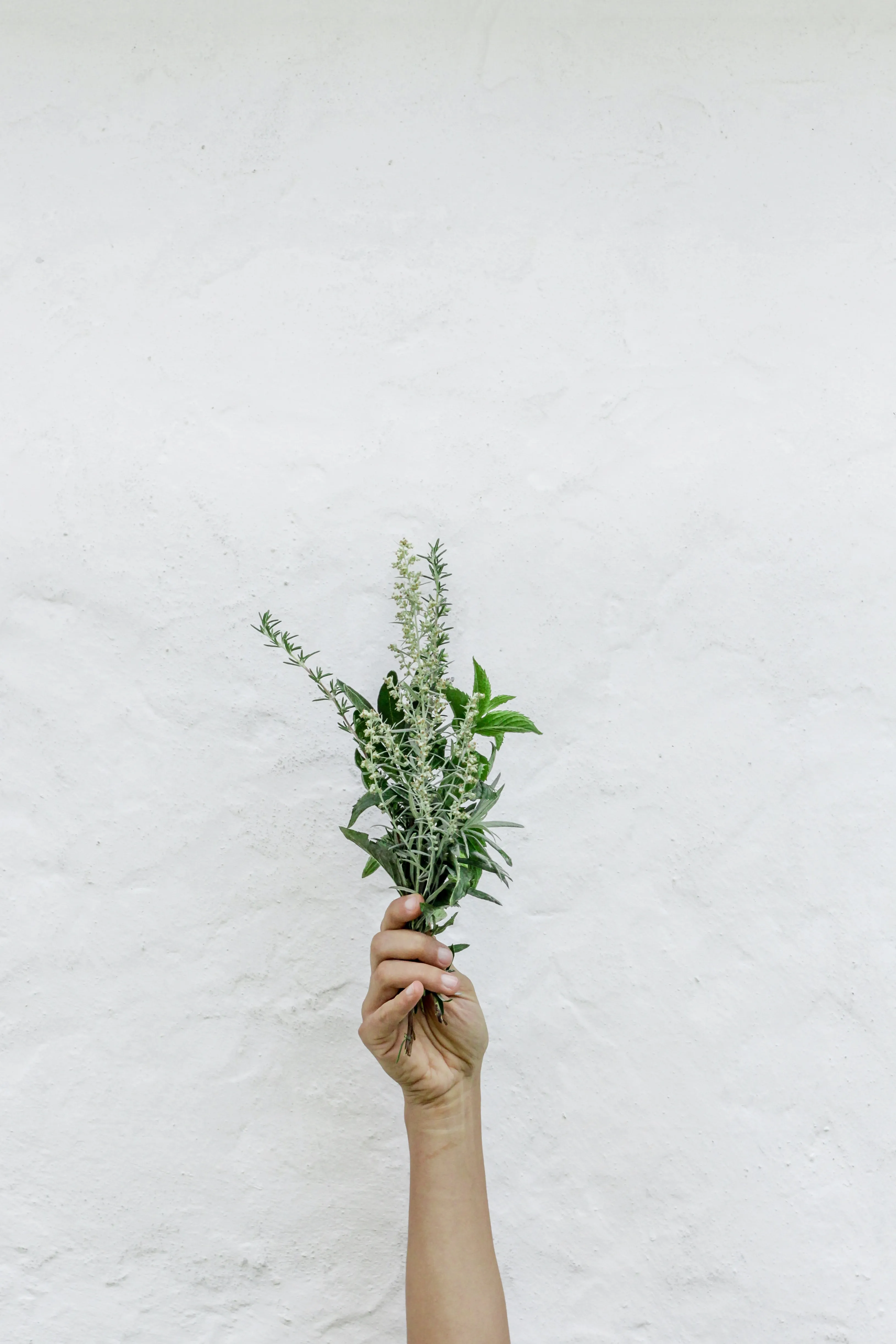 BioLife natural botanical ingredients for premium clinically-studied supplements