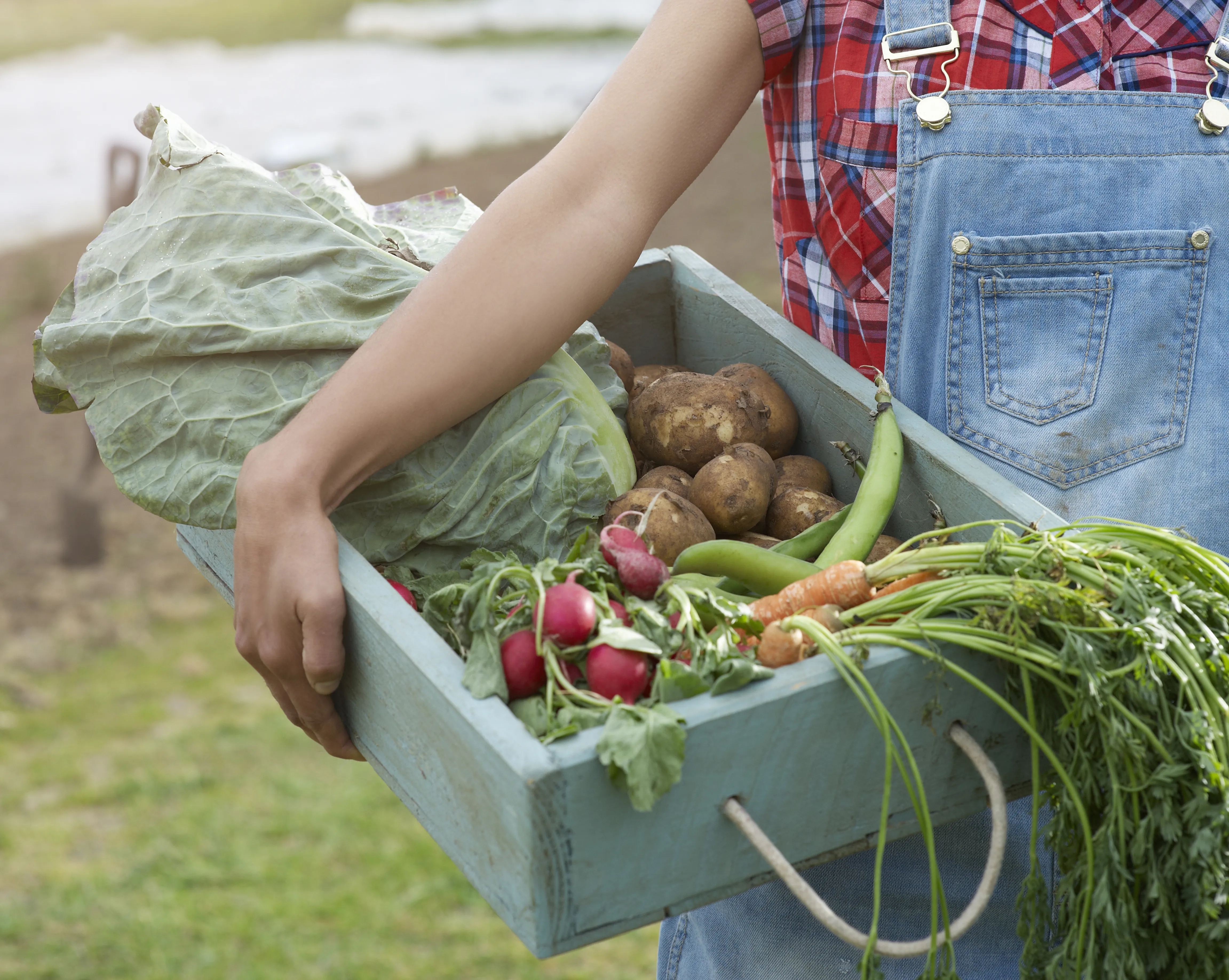 Organic vegetables for detox