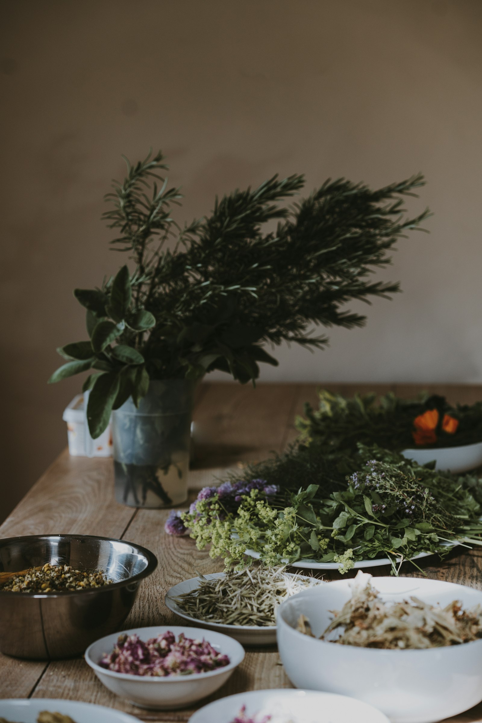 Botanical ingredients and BioLife supplements arranged on a clean surface